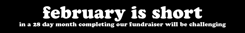 RSN Fundraising Banner