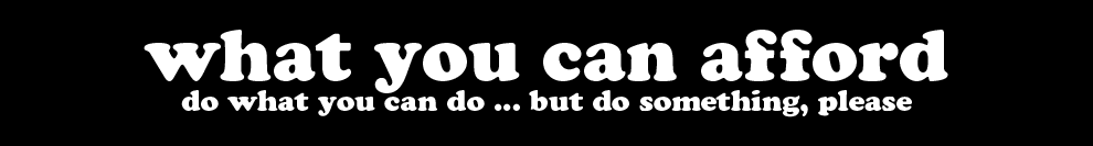 RSN Fundraising Banner