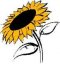 sunflower333